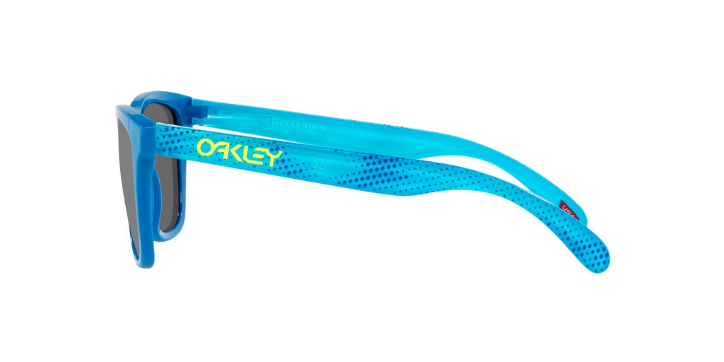 Oakley Frogskins OO9013