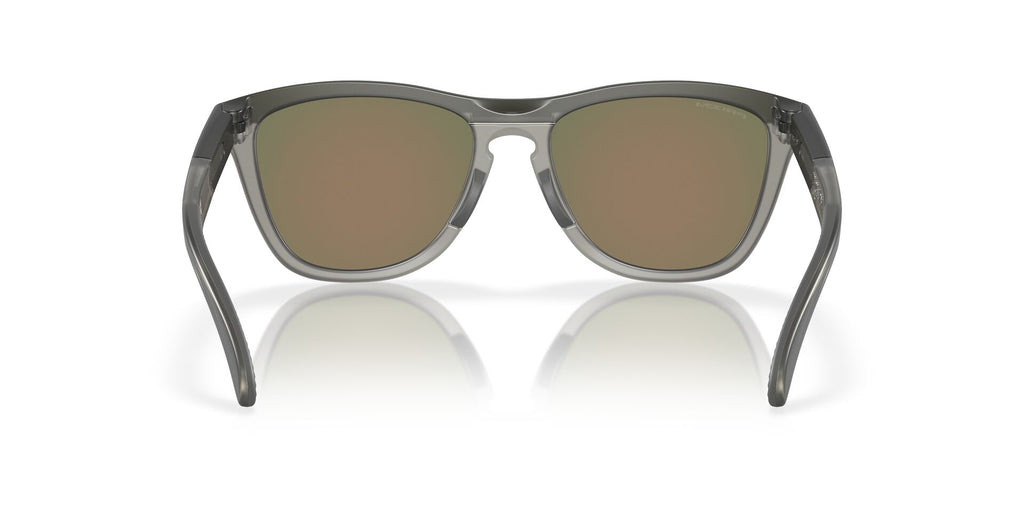 Oakley Frogskins Range OO9284