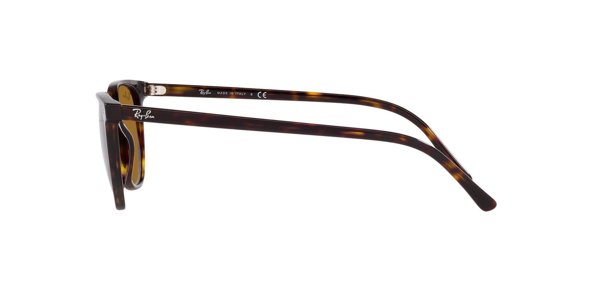 Ray-Ban Elliot RB2197