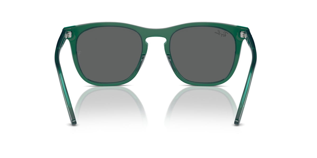 Ray-Ban RB2210