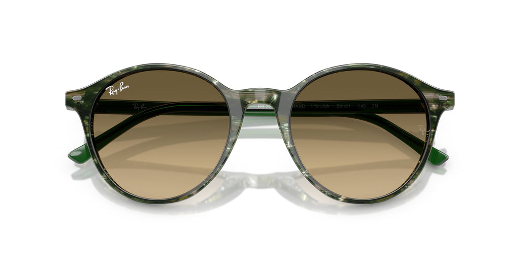 Ray-Ban Bernard RB2230