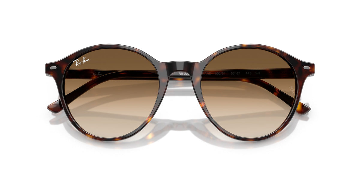Ray-Ban Bernard RB2230