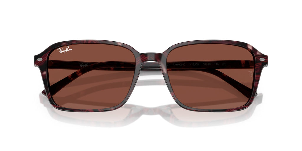 Ray-Ban Raimond RB2231