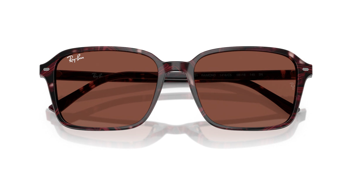 Ray-Ban Raimond RB2231