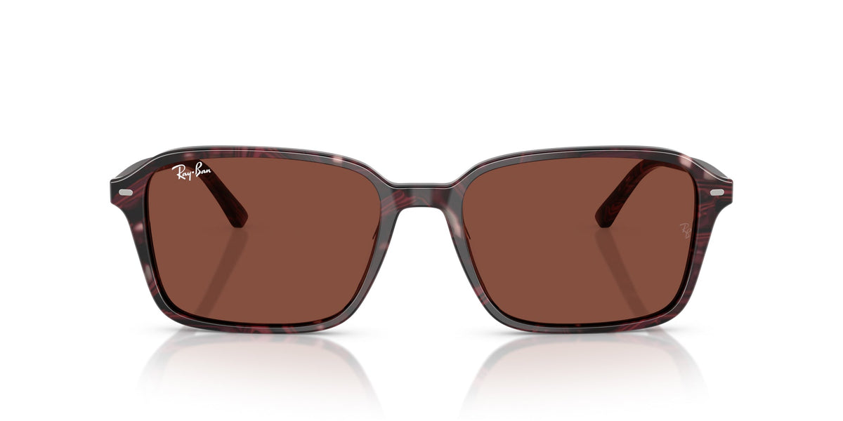 Ray-Ban Raimond RB2231