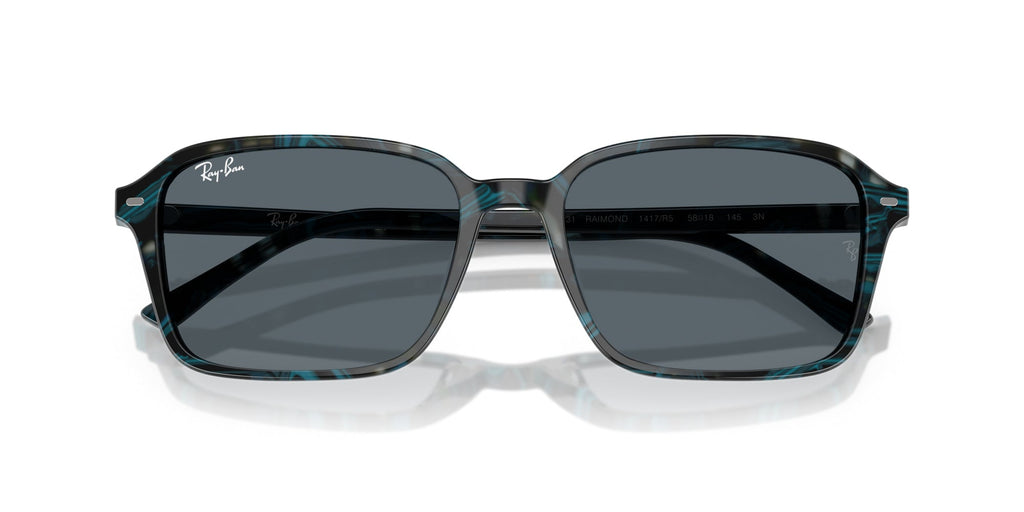 Ray-Ban Raimond RB2231
