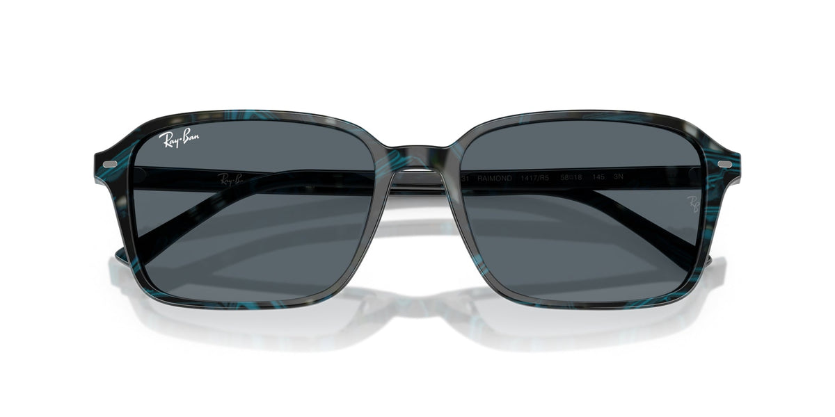 Ray-Ban Raimond RB2231