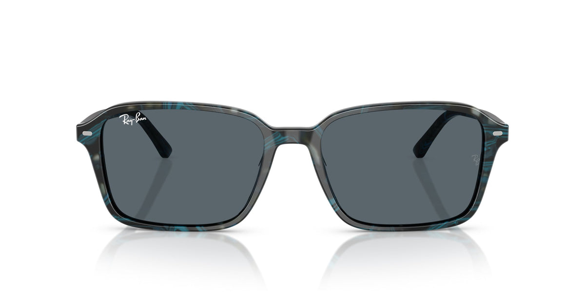 Ray-Ban Raimond RB2231