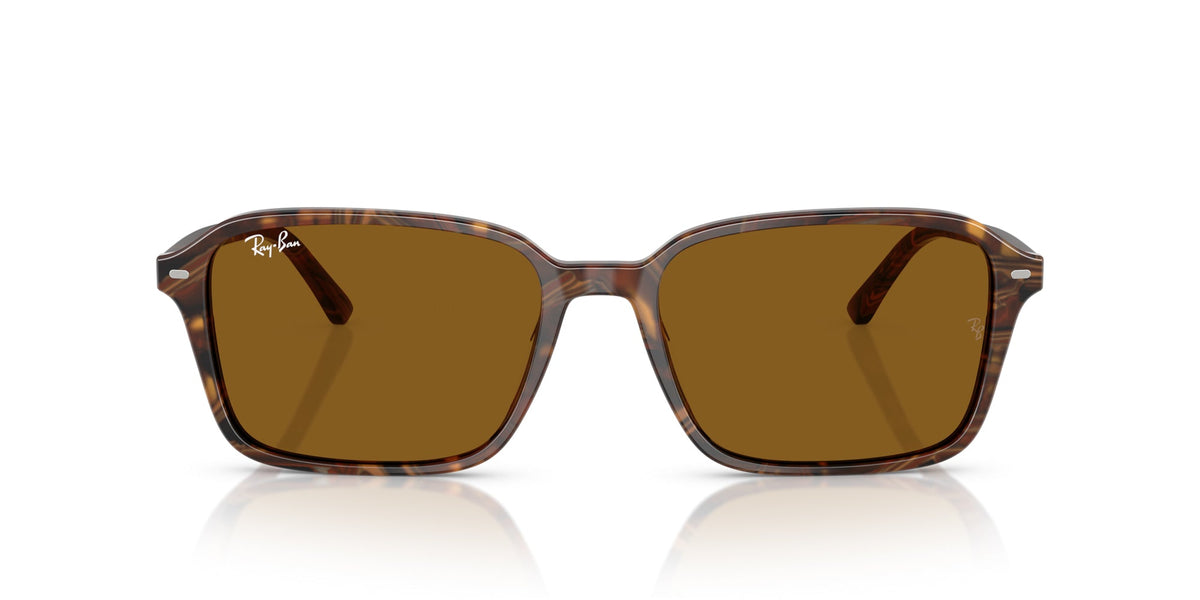 Ray-Ban Raimond RB2231