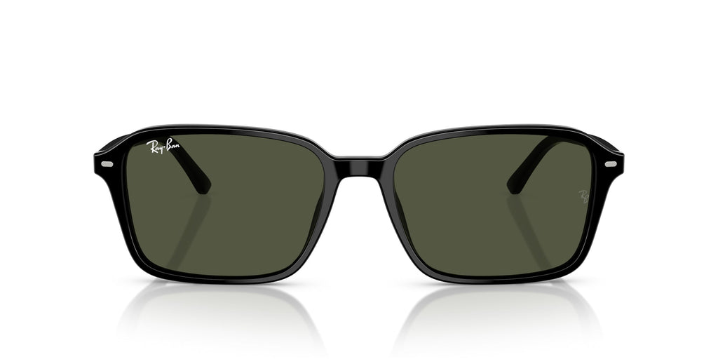 Ray-Ban Raimond RB2231