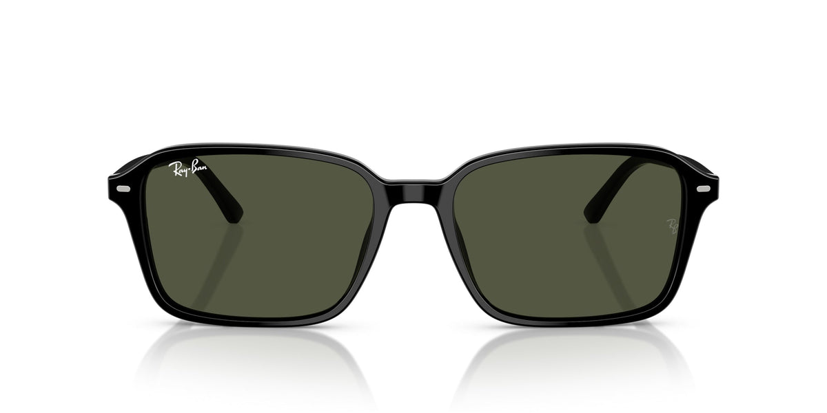 Ray-Ban Raimond RB2231