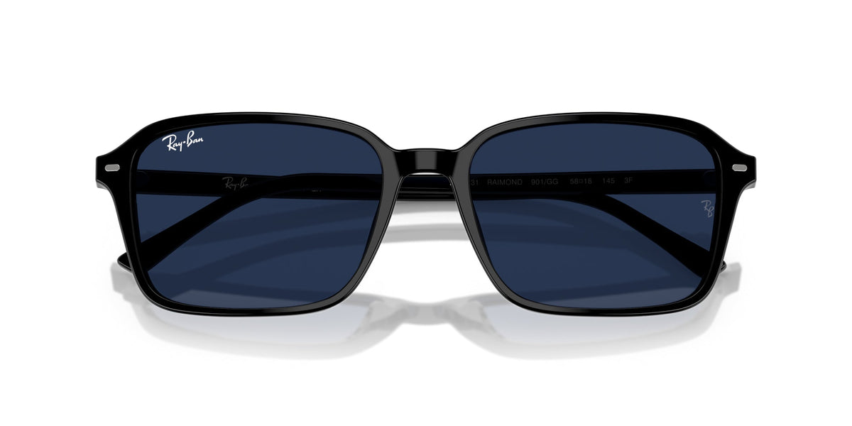 Ray-Ban Raimond RB2231