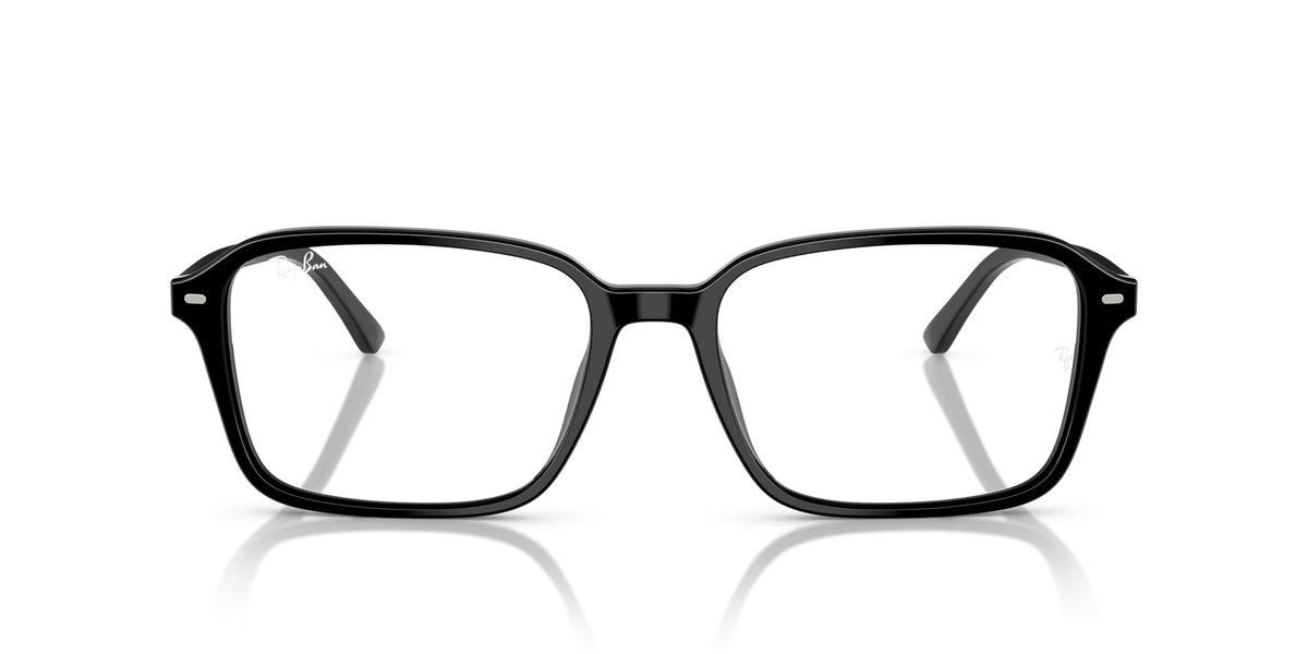 Ray-Ban Raimond RB2231