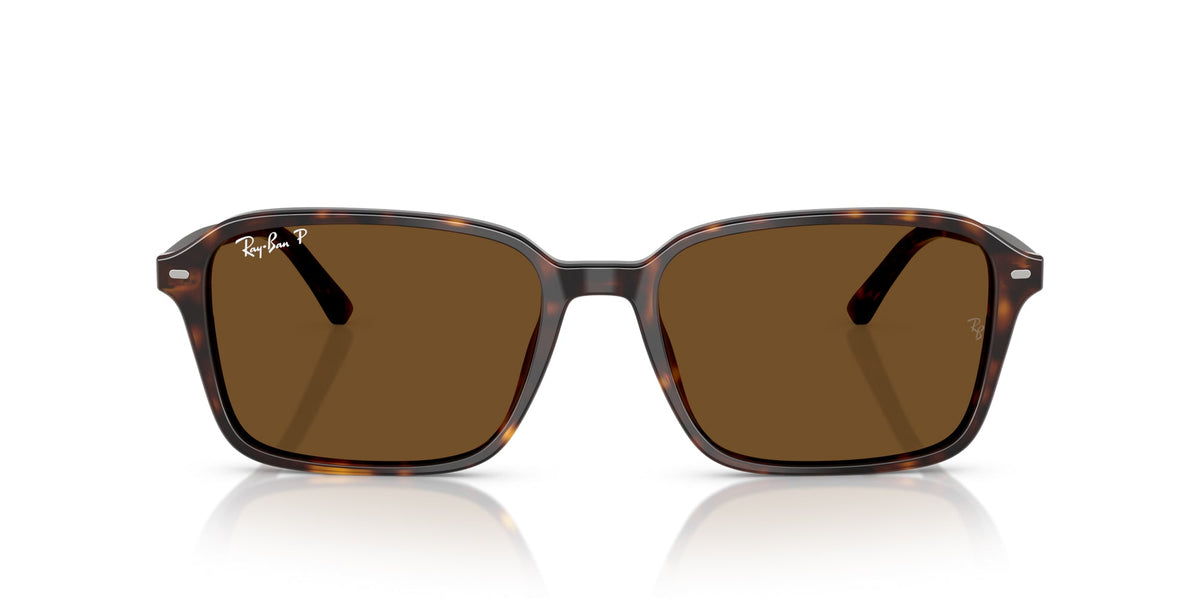 Ray-Ban Raimond RB2231