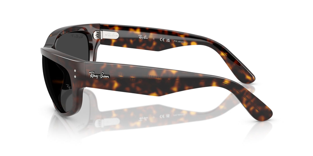 Ray-Ban Mega Balorama RB2289