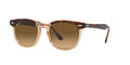 Ray-Ban Hawkeye RB2298
