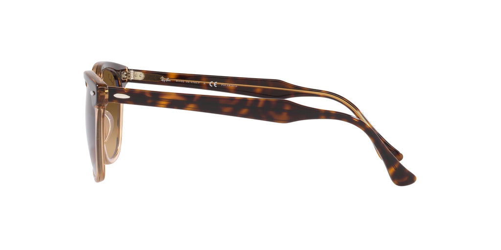 Ray-Ban Hawkeye RB2298