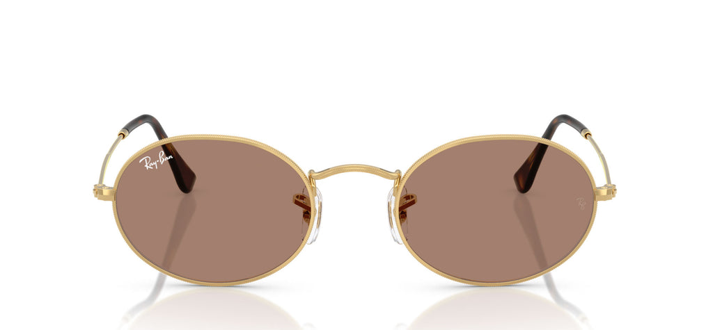 Ray-Ban RB3547
