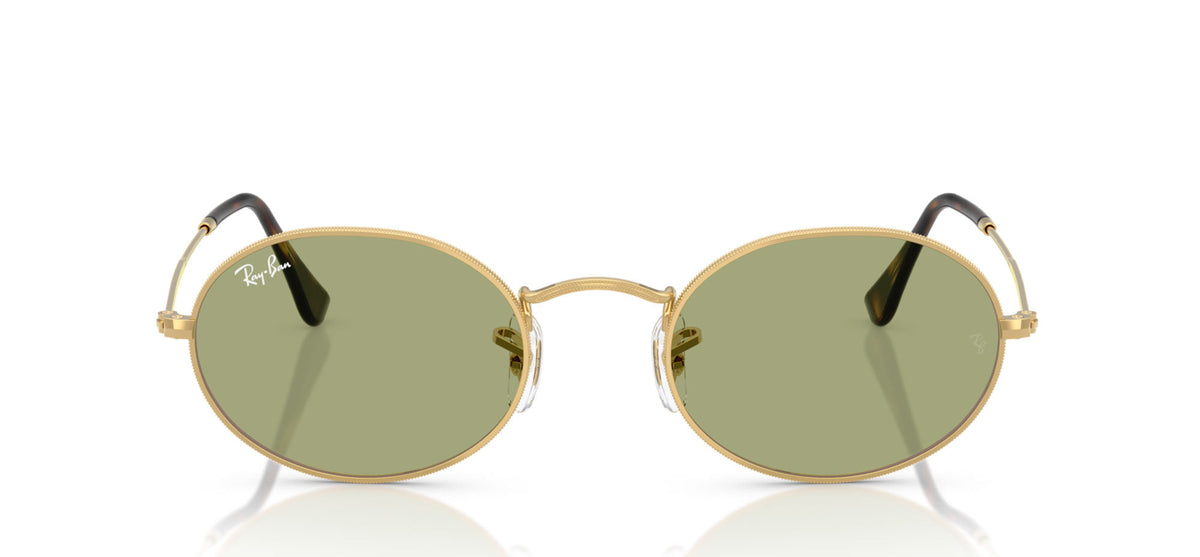 Ray-Ban RB3547