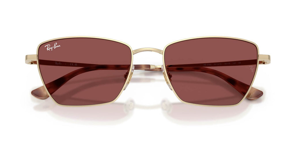Ray-Ban RB3783