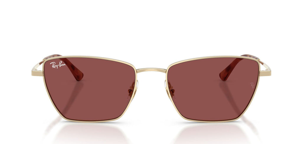 Ray-Ban RB3783