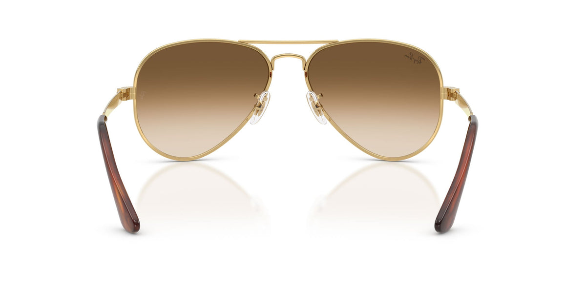 Ray-Ban Aviator Max RB3925