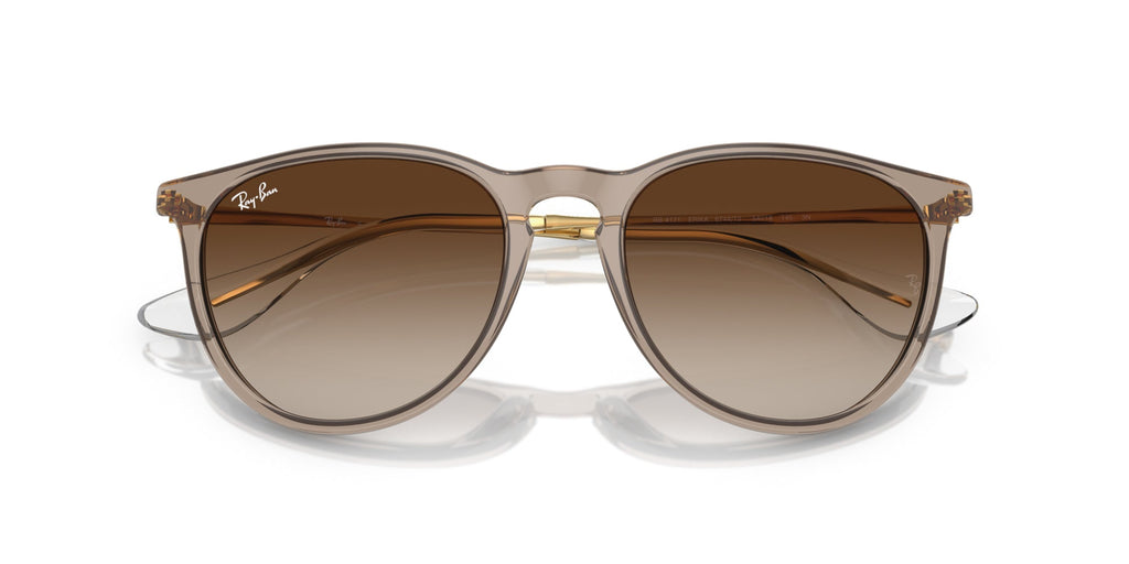 Ray-Ban Erika RB4171