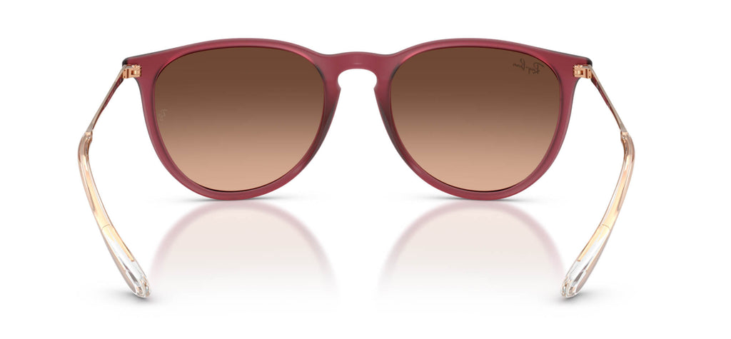 Ray-Ban Erika RB4171