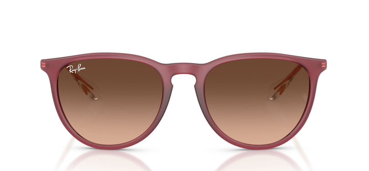 Ray-Ban Erika RB4171