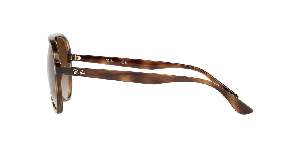 Ray-Ban RB4376