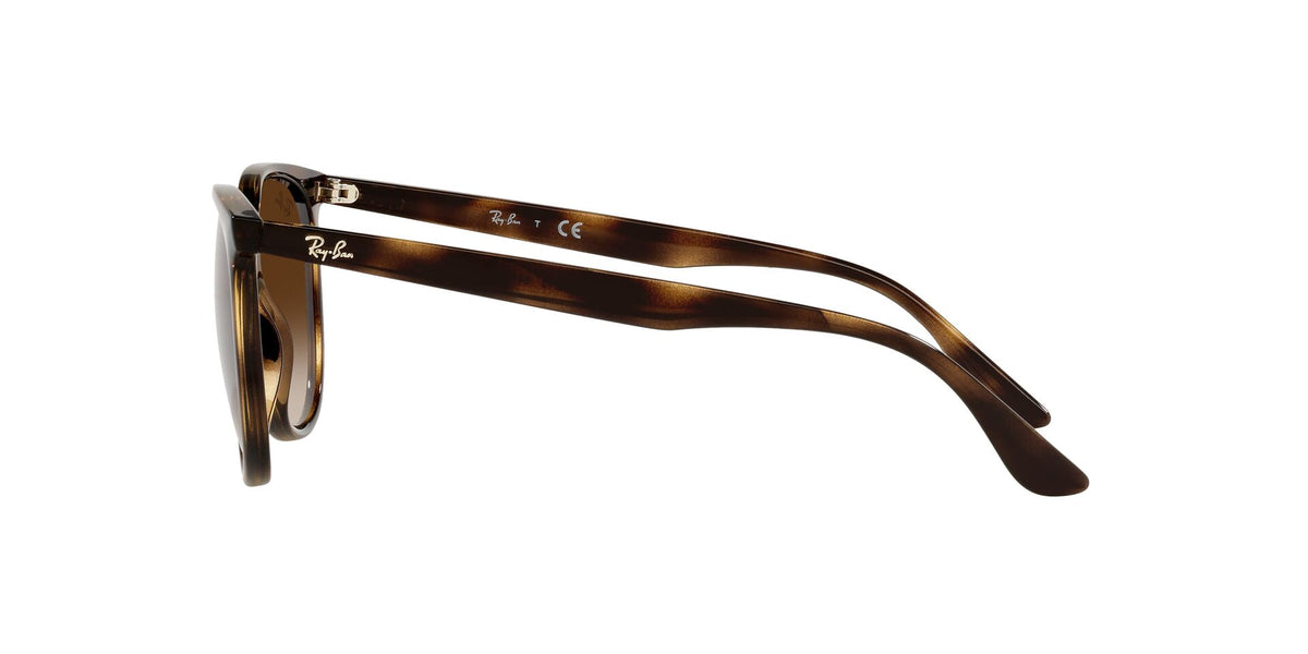Ray-Ban RB4378