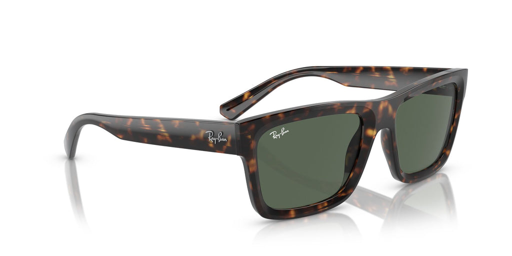 Ray-Ban Warren RB4396