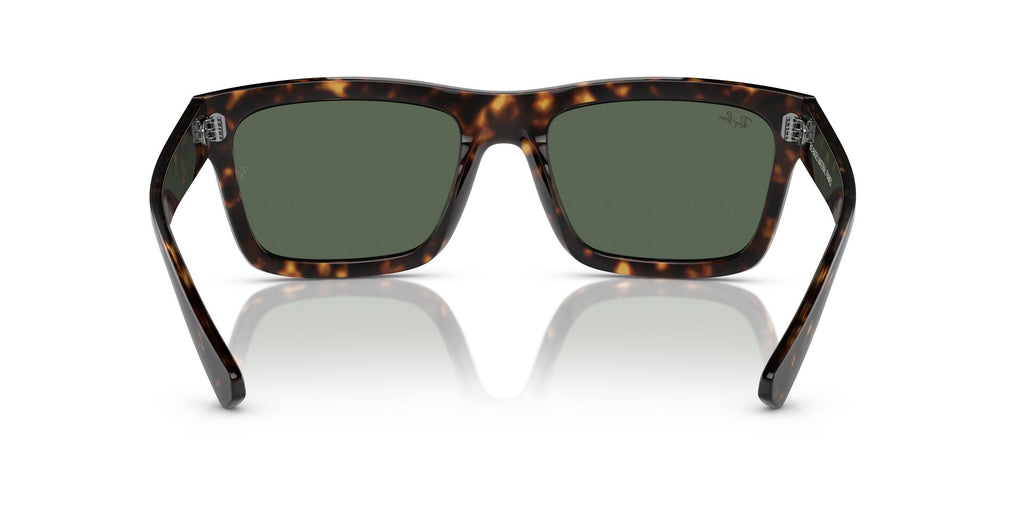 Ray-Ban Warren RB4396
