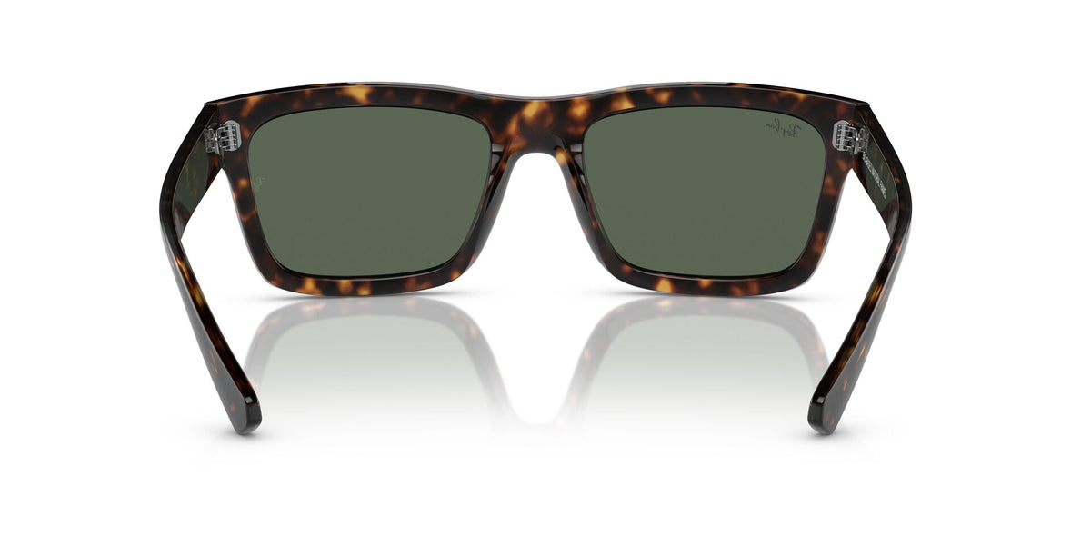 Ray-Ban Warren RB4396