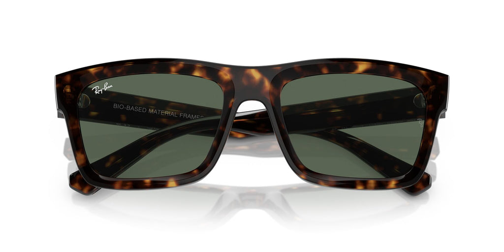 Ray-Ban Warren RB4396