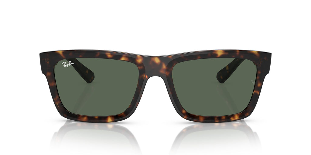 Ray-Ban Warren RB4396