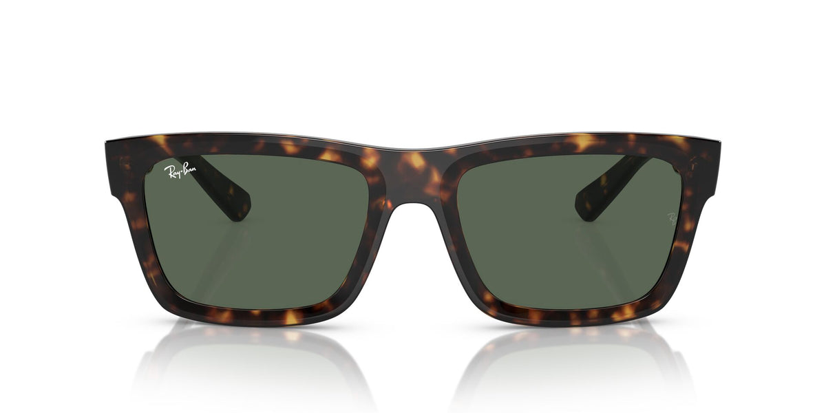 Ray-Ban Warren RB4396