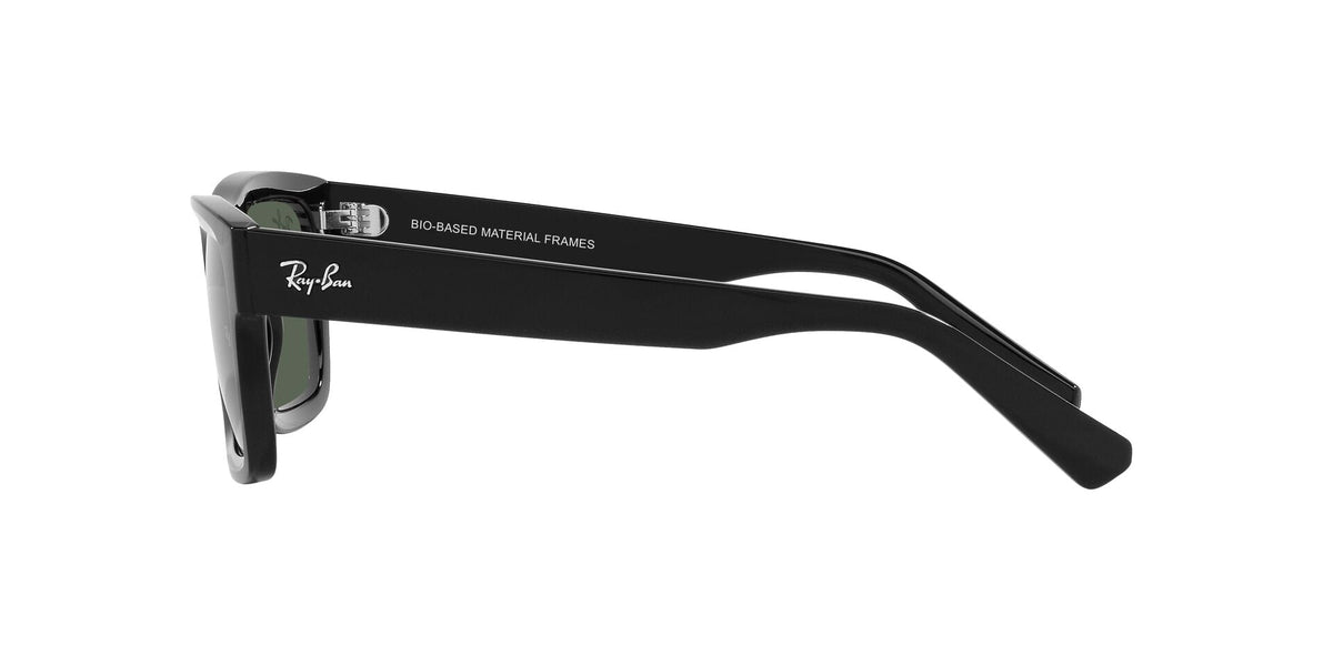 Ray-Ban Warren RB4396