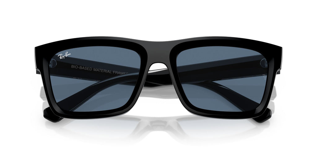 Ray-Ban Warren RB4396