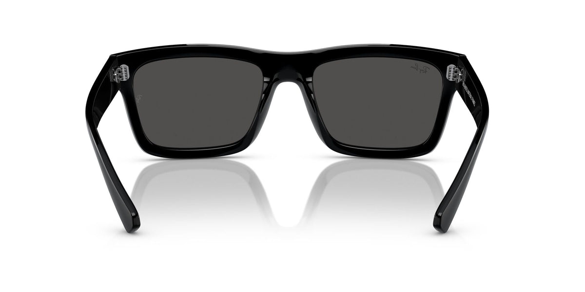 Ray-Ban Warren RB4396