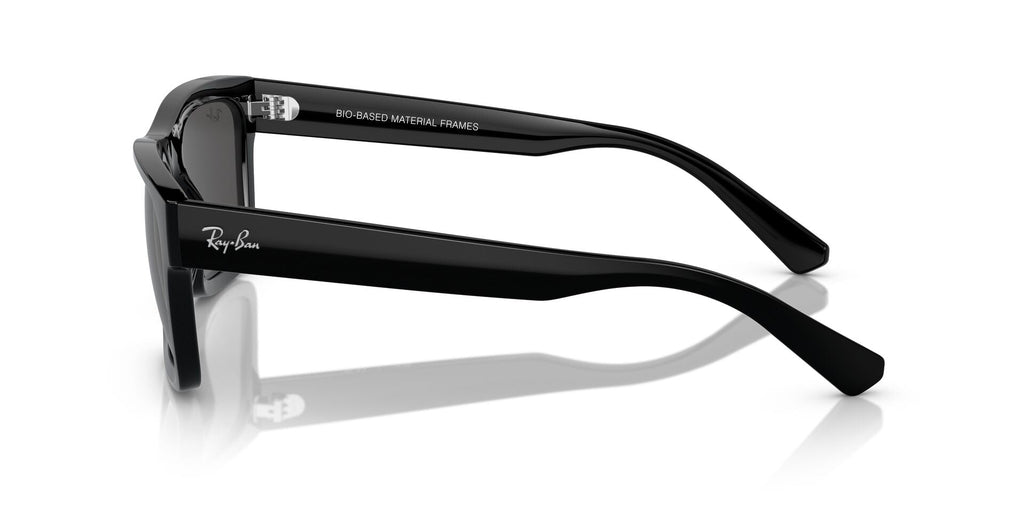 Ray-Ban Warren RB4396