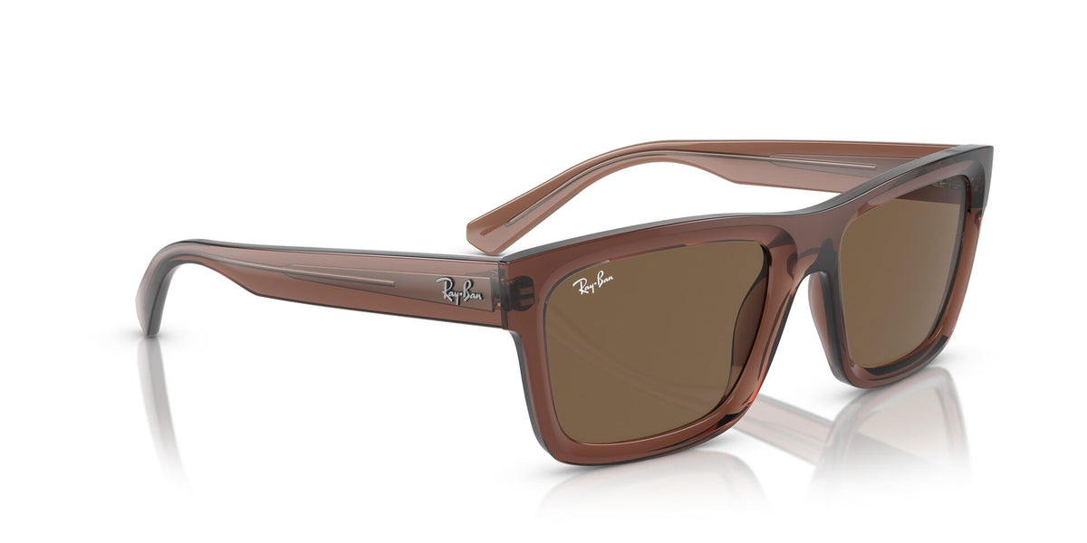 Ray-Ban Warren RB4396