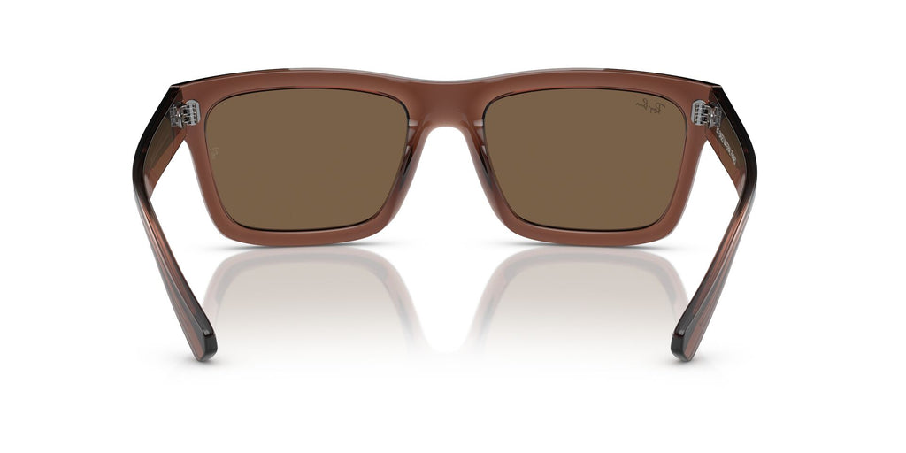 Ray-Ban Warren RB4396