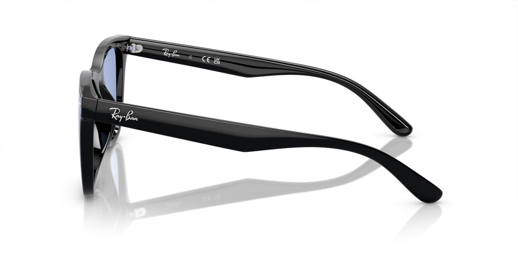 Ray-Ban RB4420
