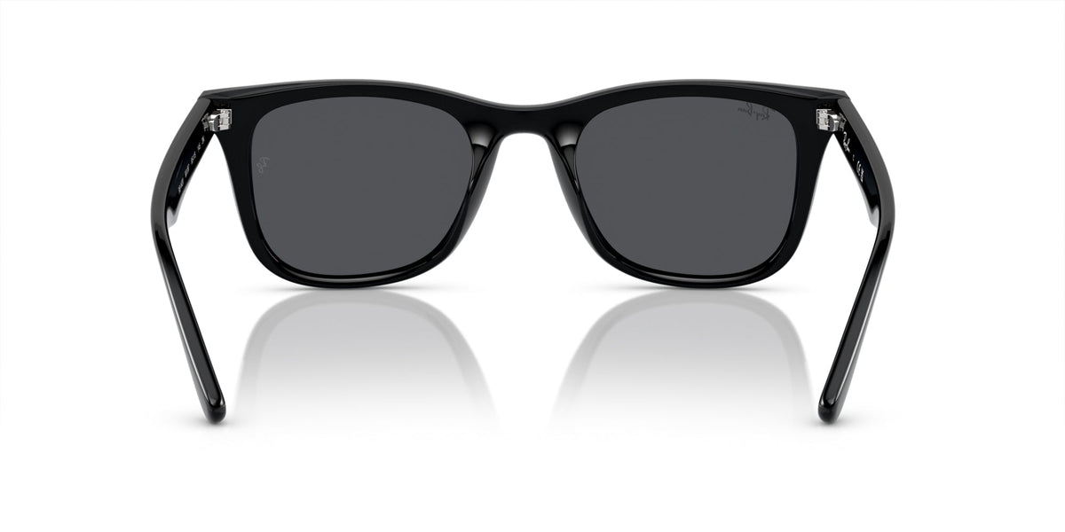 Ray-Ban RB4420