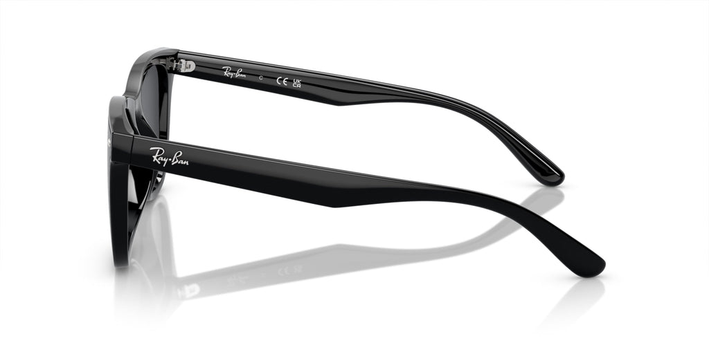 Ray-Ban RB4420