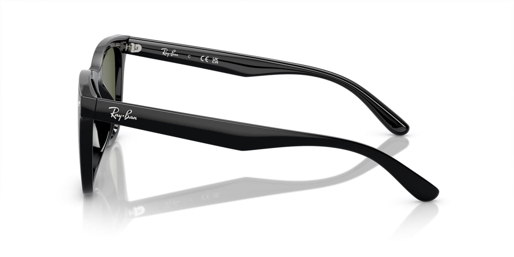 Ray-Ban RB4420