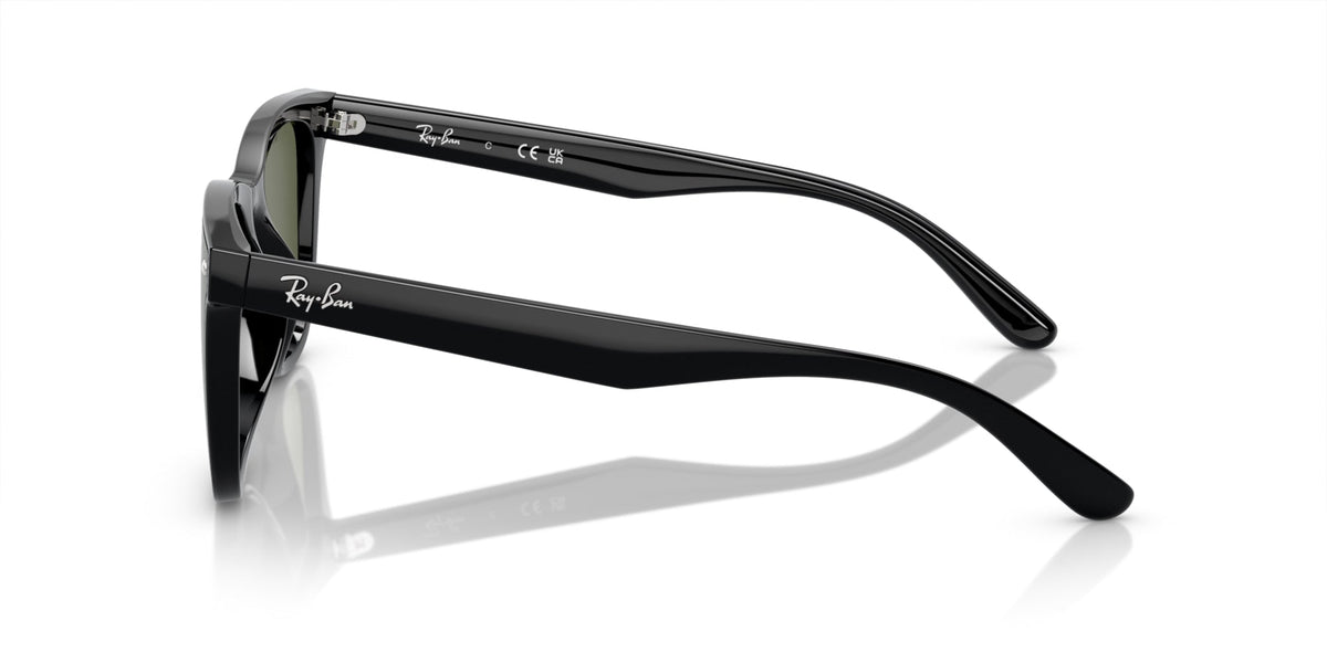 Ray-Ban RB4420