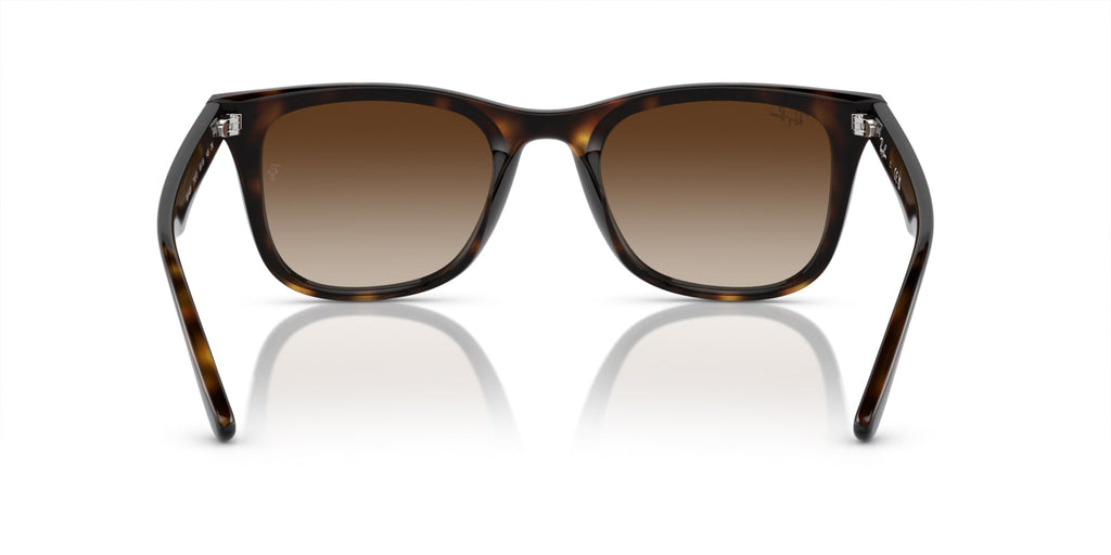 Ray-Ban RB4420