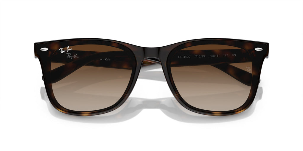 Ray-Ban RB4420